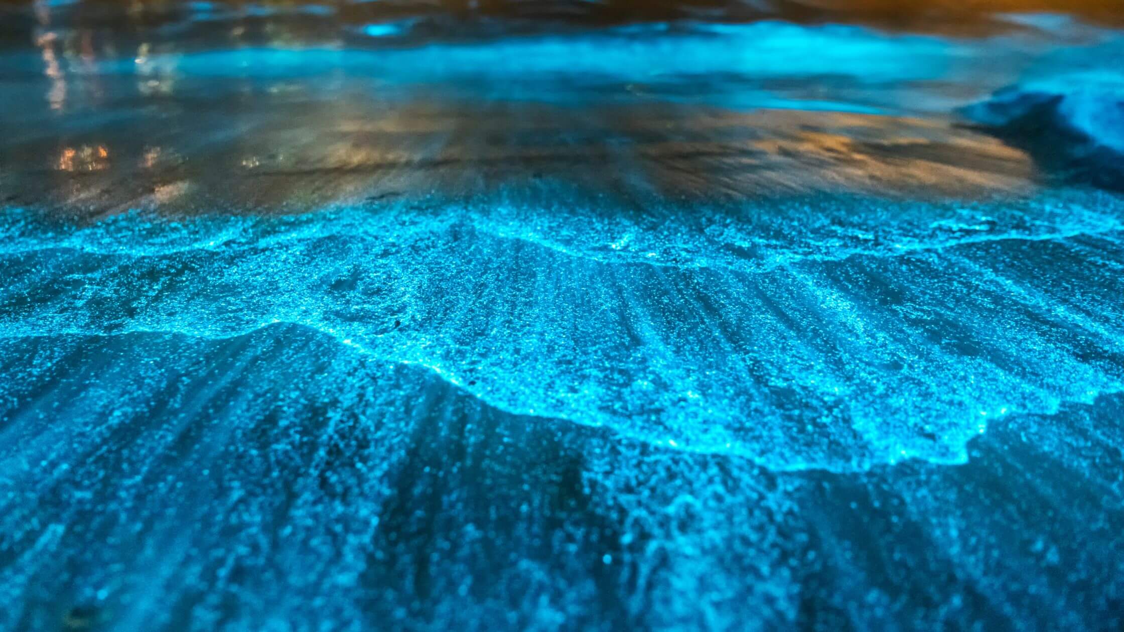 glowing beach