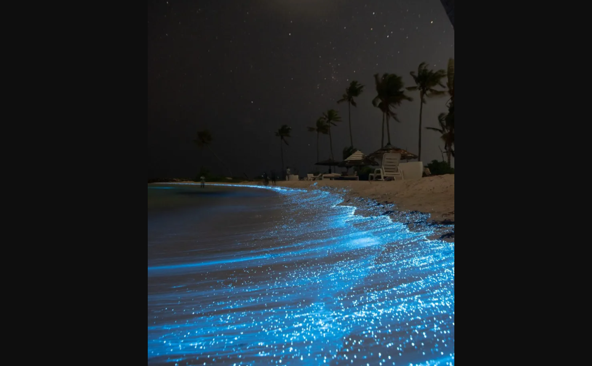 glowing beach