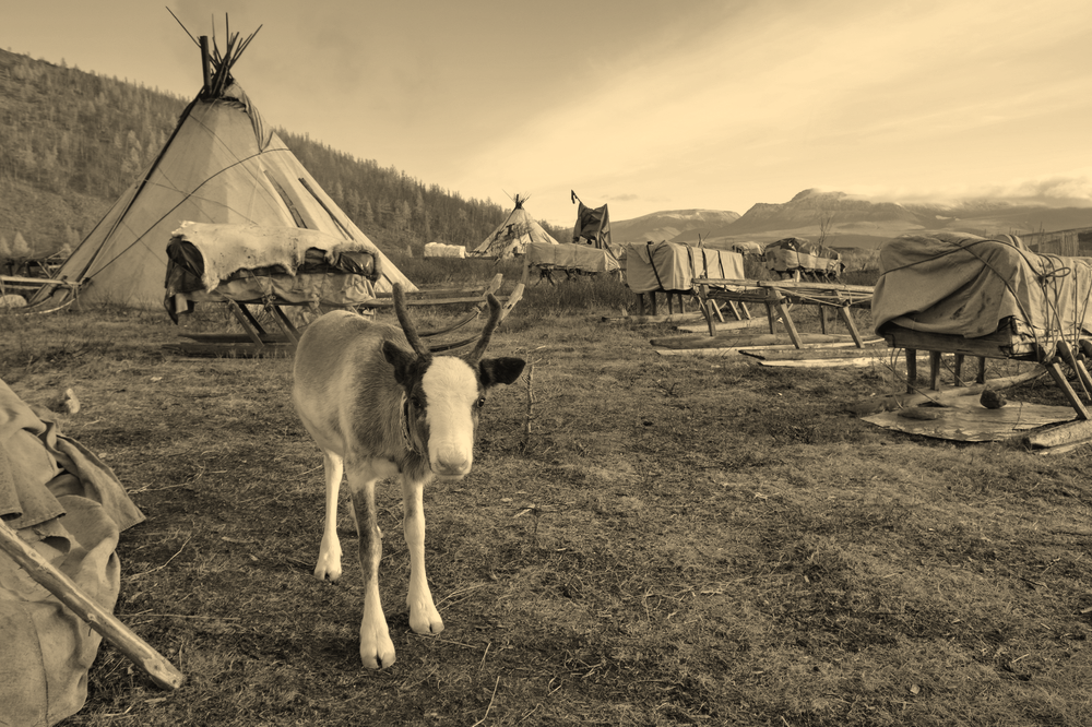 houses of the Nenets tribe
