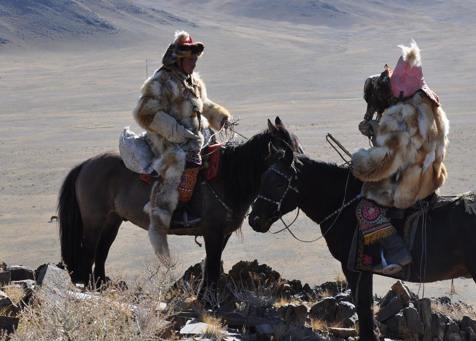 Kazakh eagle hunters in Olgii, Mongolia. - 2012