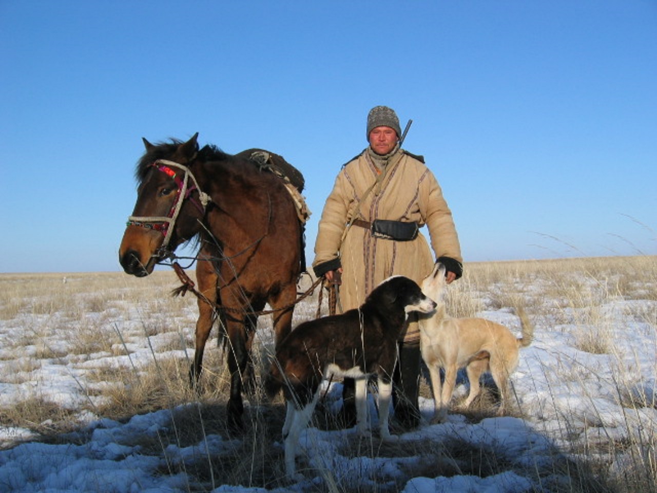 Kazakh Shepard With Dogs And Horse