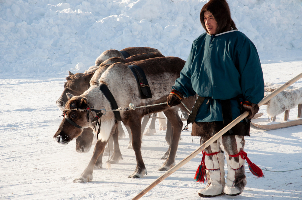 Nenets man and his deer