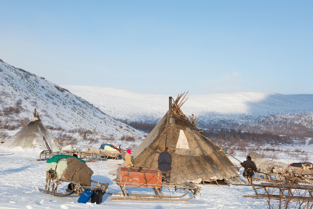 Nenets reindeer herders collecting their house