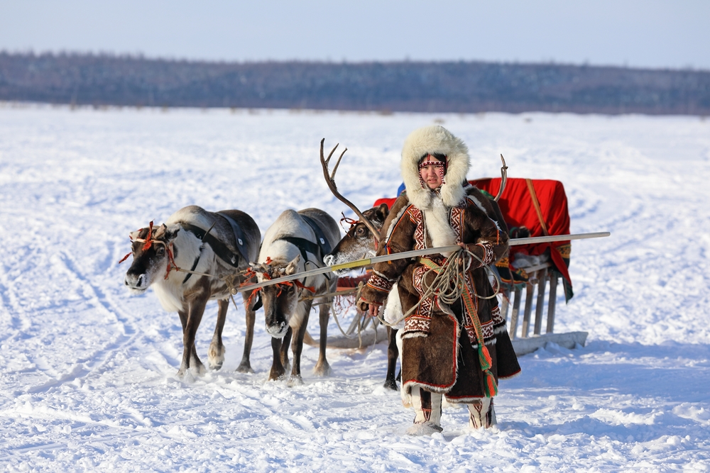 A Nenets reindeer herder girl