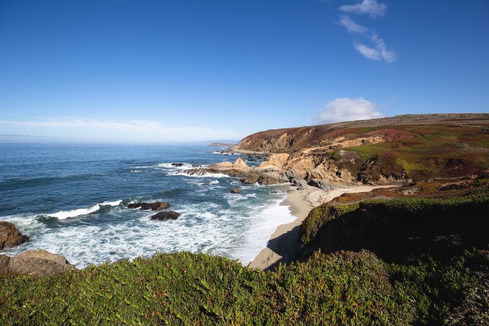 Bodega Bay, California