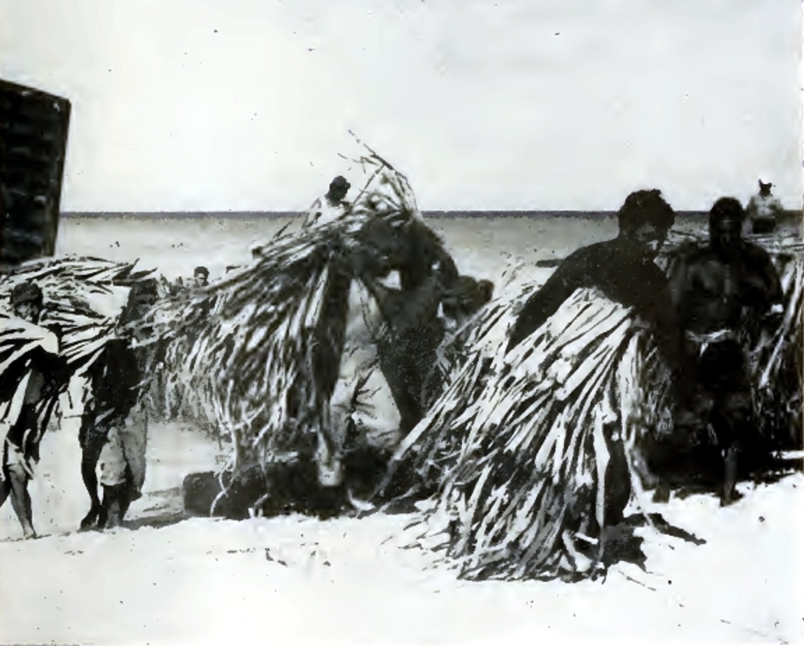 Population of Bikini was moved to Rongerik - 1946