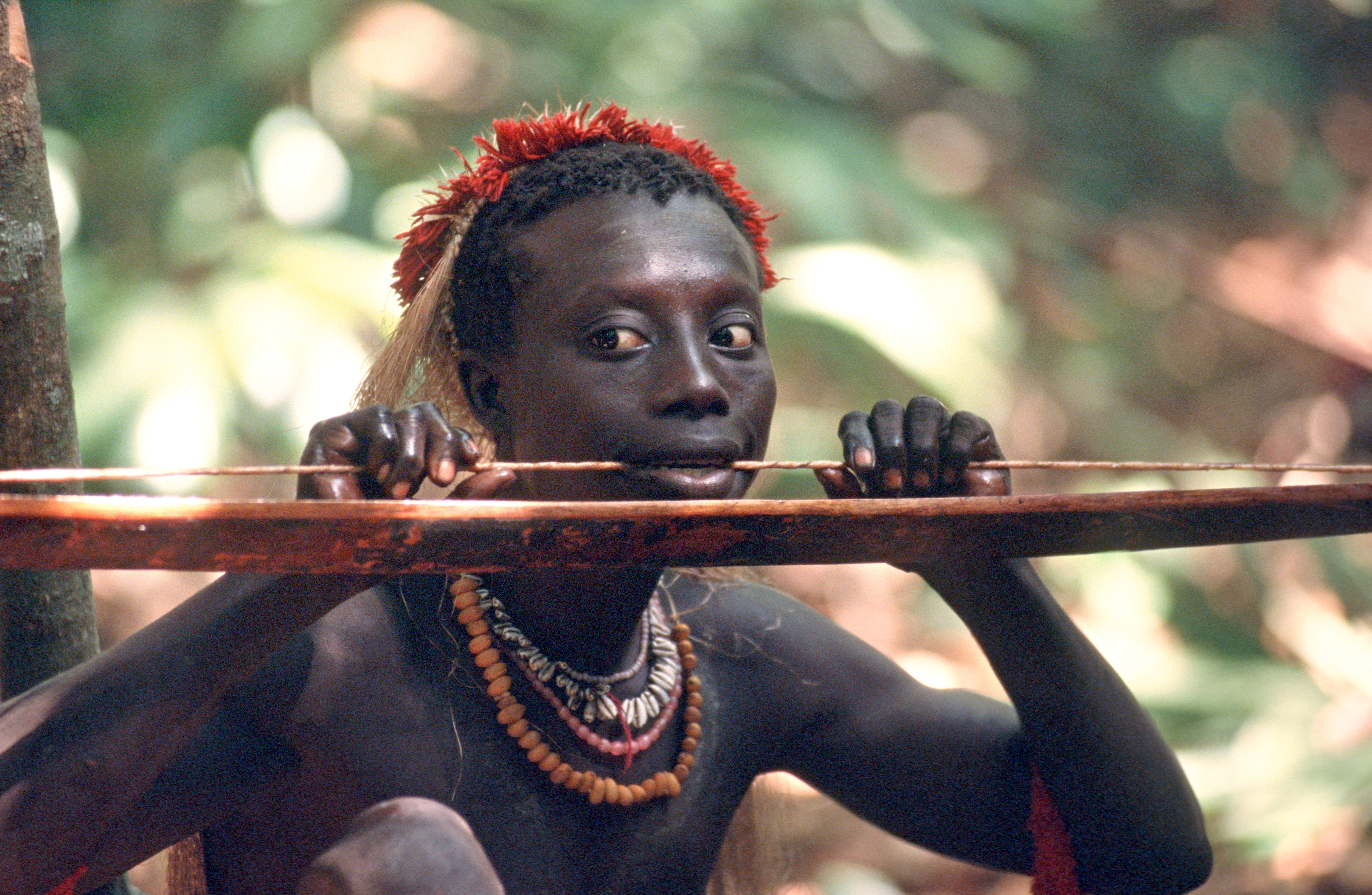 Jarawa Tribe Bow and Arrow