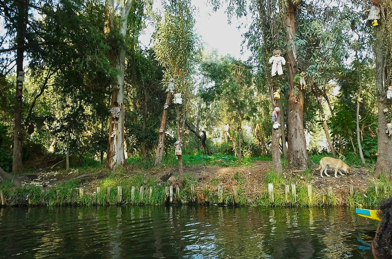 Dolls Hung In Santana Barrera's Chinampa