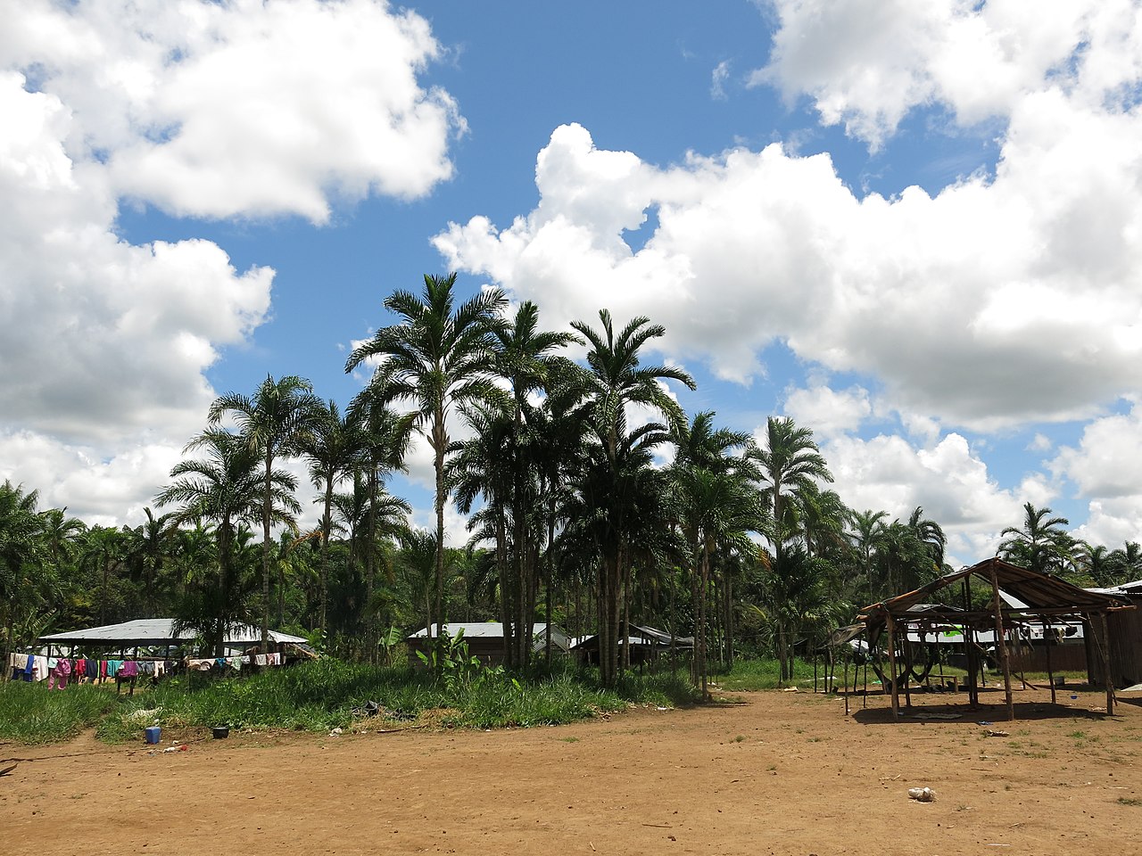 Habitat of the Nukak