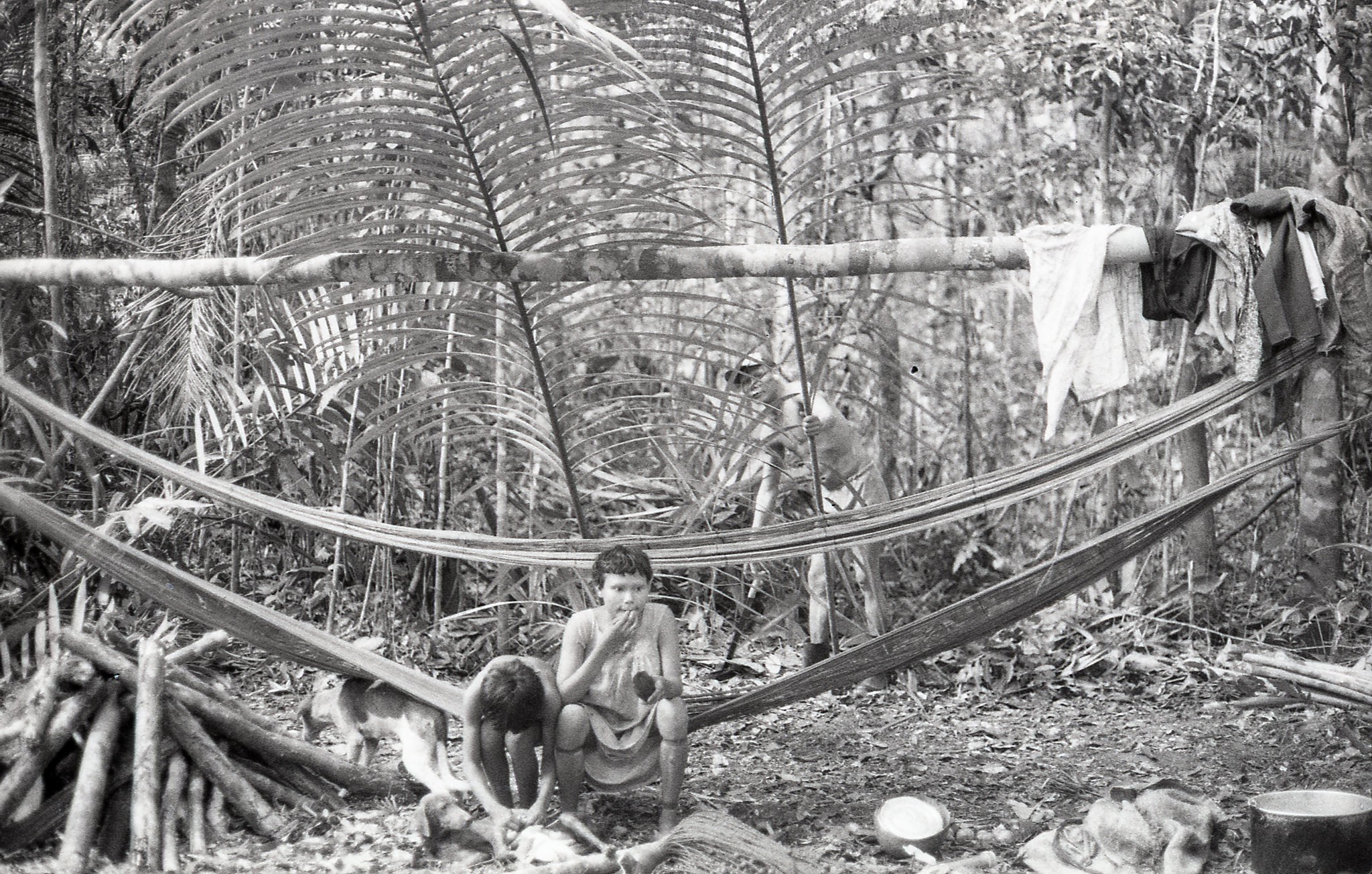 Nukak people under banana leaves