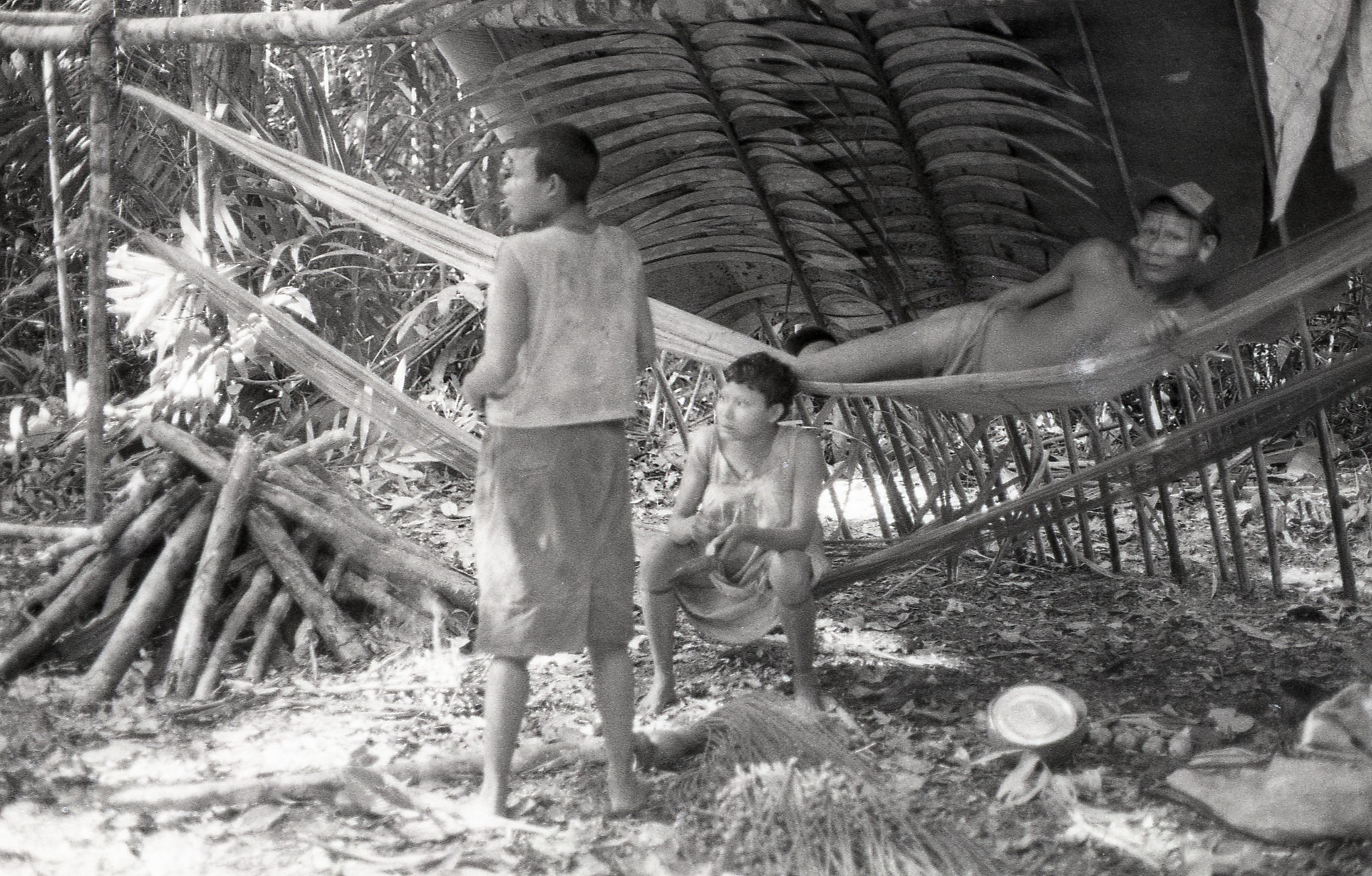 Nukak people under banana leaves