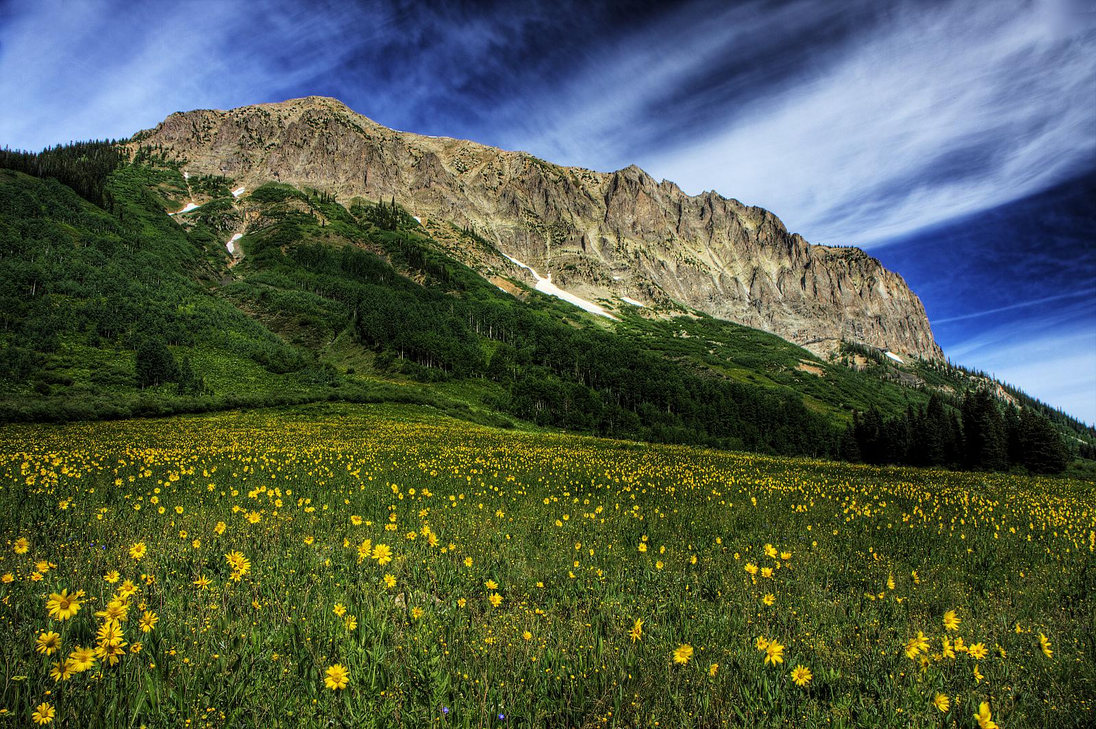 Gunnison National Forest Colorado
