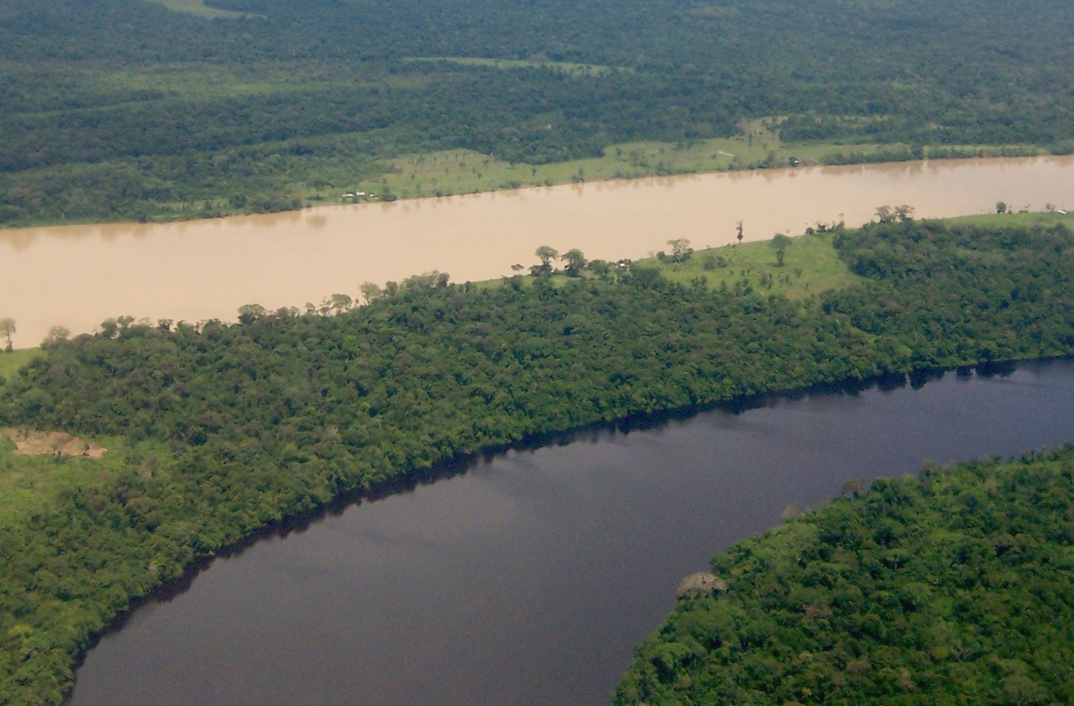 Amazon rainforest Columbia