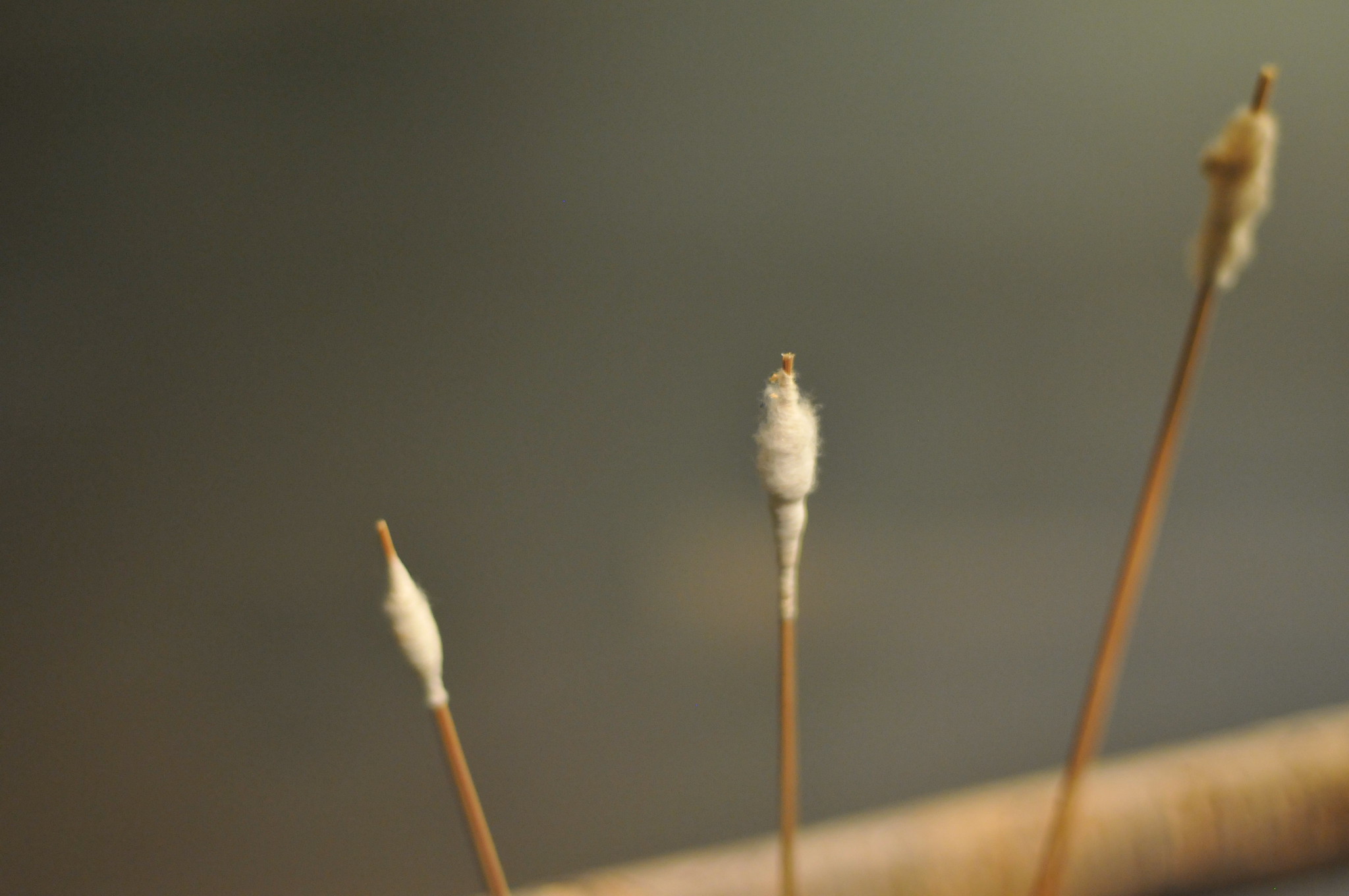 Poison Dart Tips: Group of Three