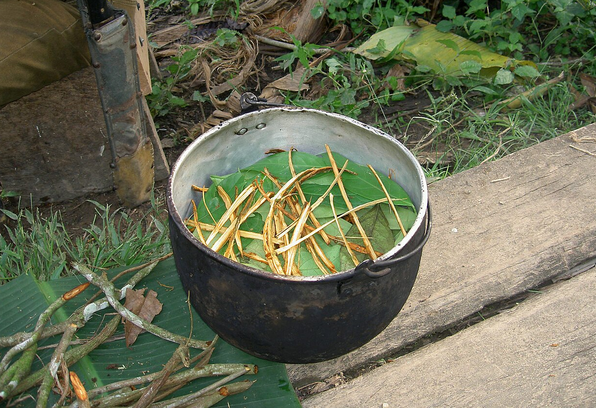 Preparation of Ayahuasca