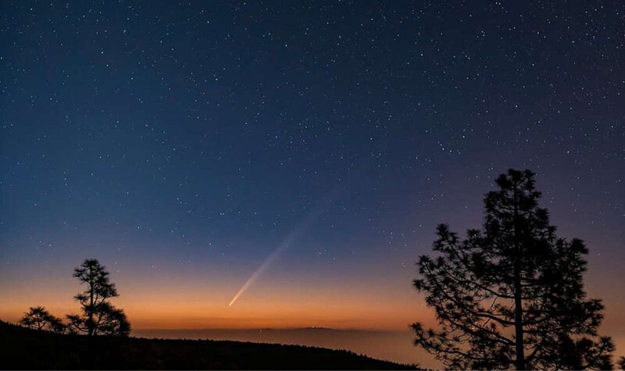 Fleeting Opportunity