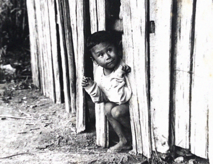 A Nukak Child peeking