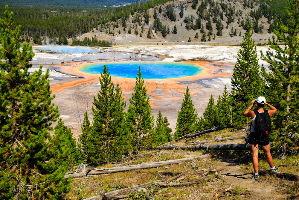 A hiker looking down on Yellowstone National Park's Grand Prismatic Spring