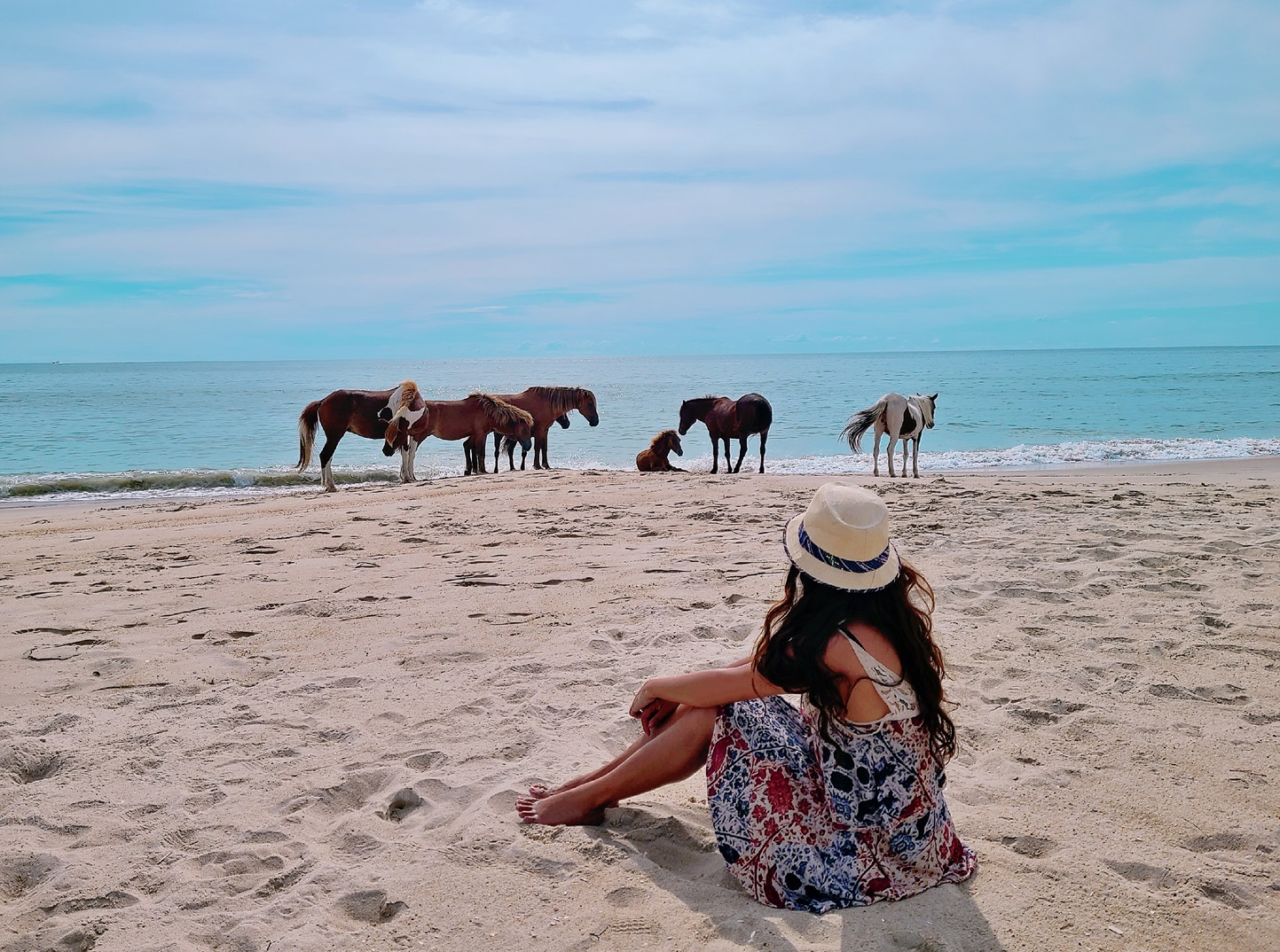 Wild horses of Assateague Island National Seashore