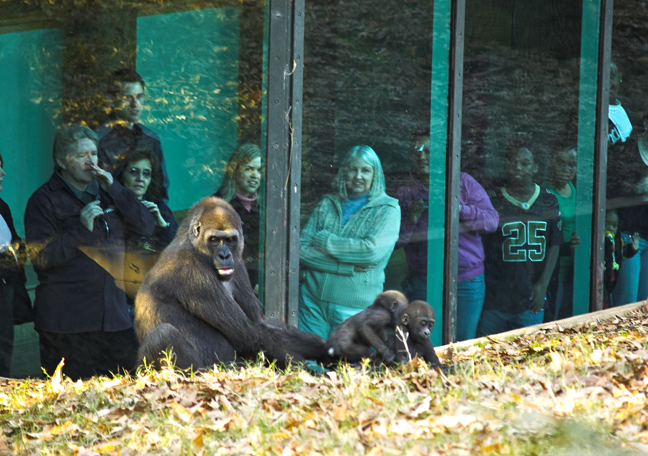 Visitors at Zoo Atlanta