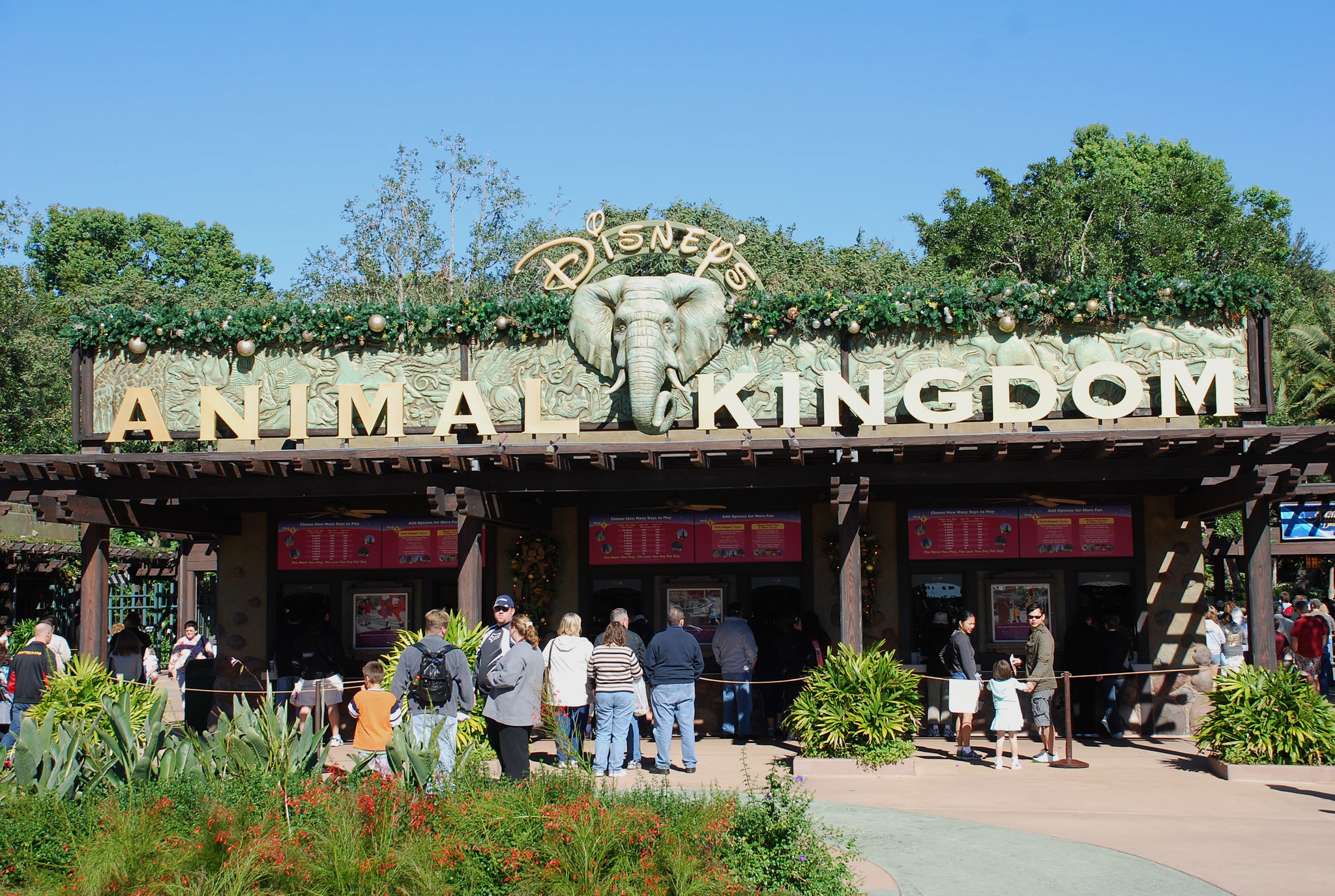 Entrance gate at Disney's Animal Kingdom