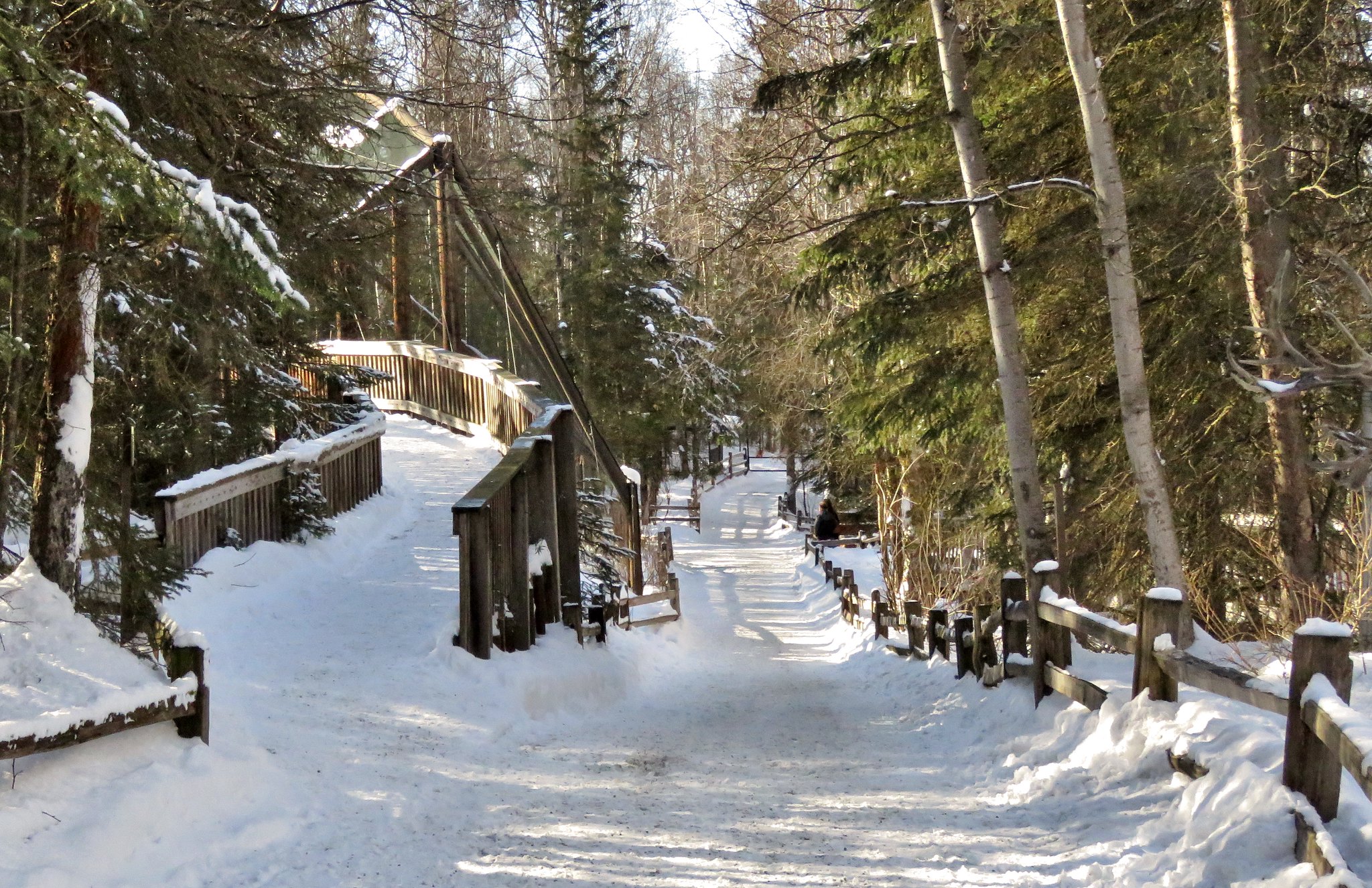 Alaska Zoo covered in snow