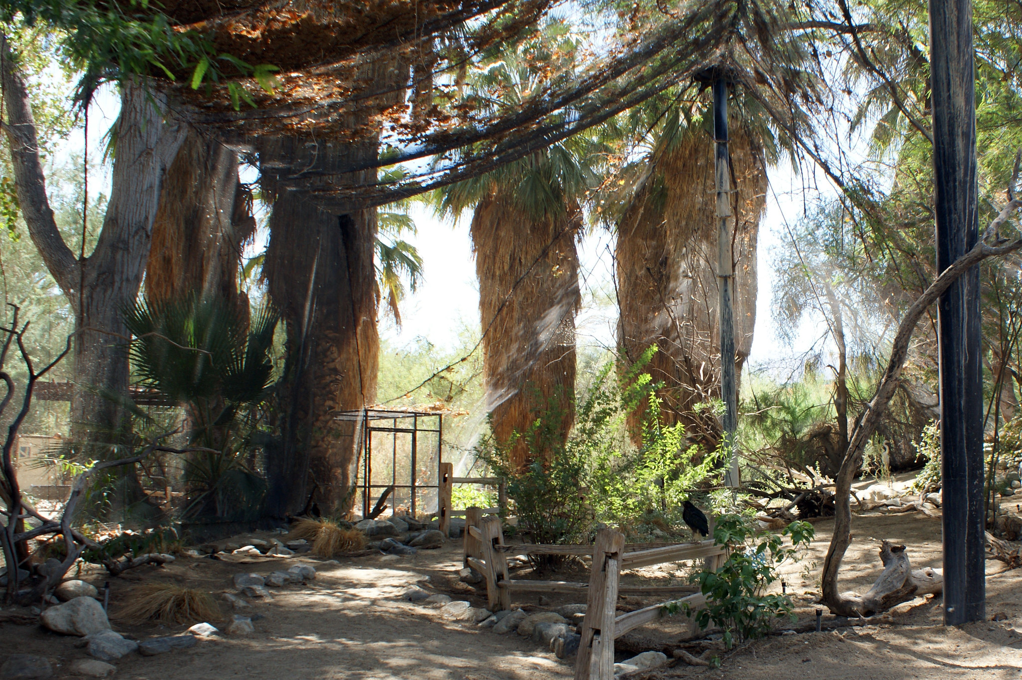 Outdoor aviary at The Living Desert Zoo & Gardens