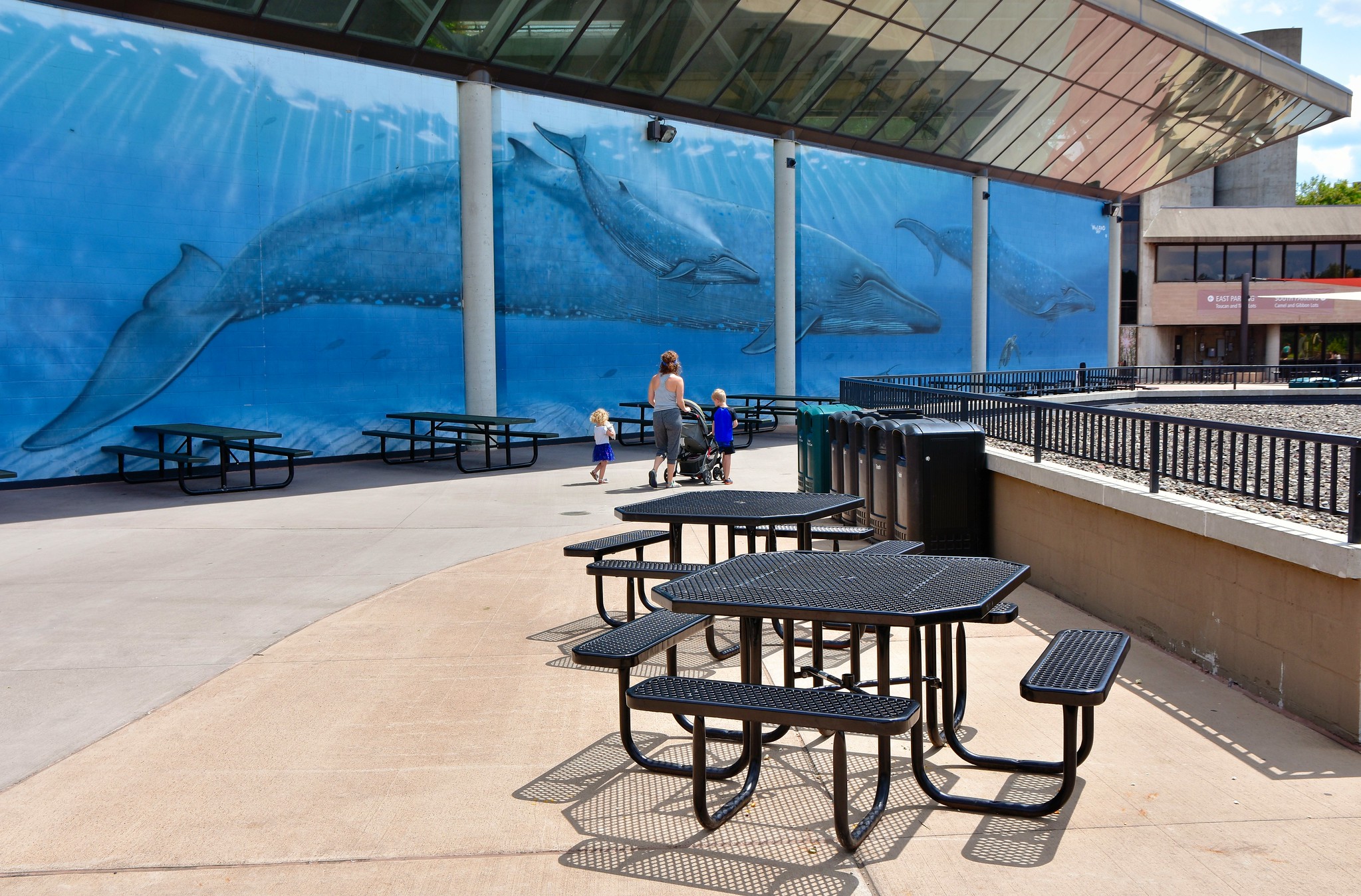 Mural work at Minnesota Zoo