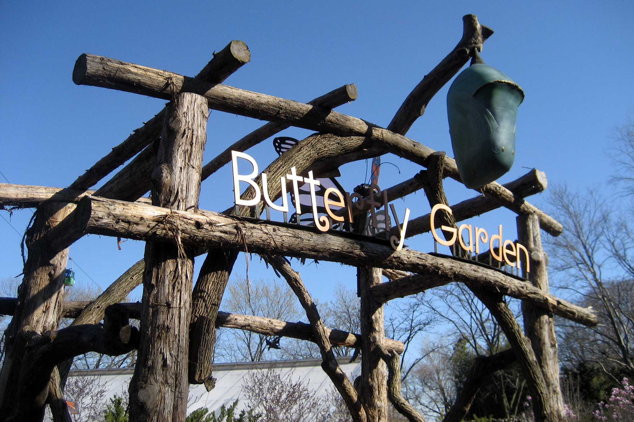 Bronx - Bronx Zoo: Butterfly Garden