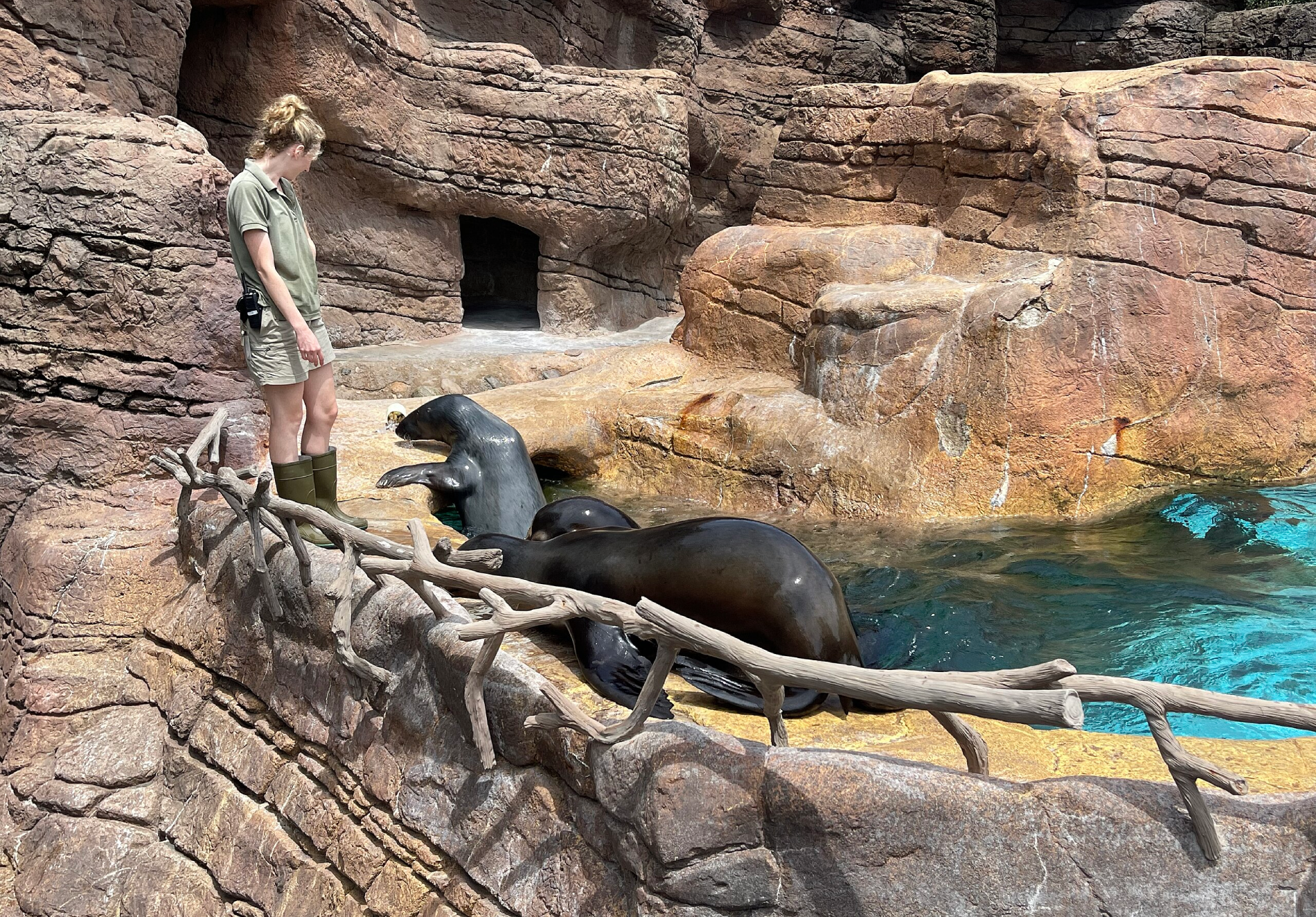 Exhibit at Indianapolis Zoo