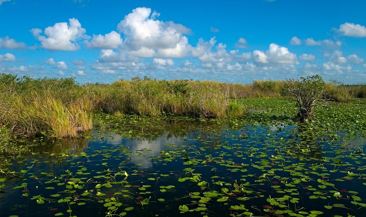  Everglades National Park, Florida.