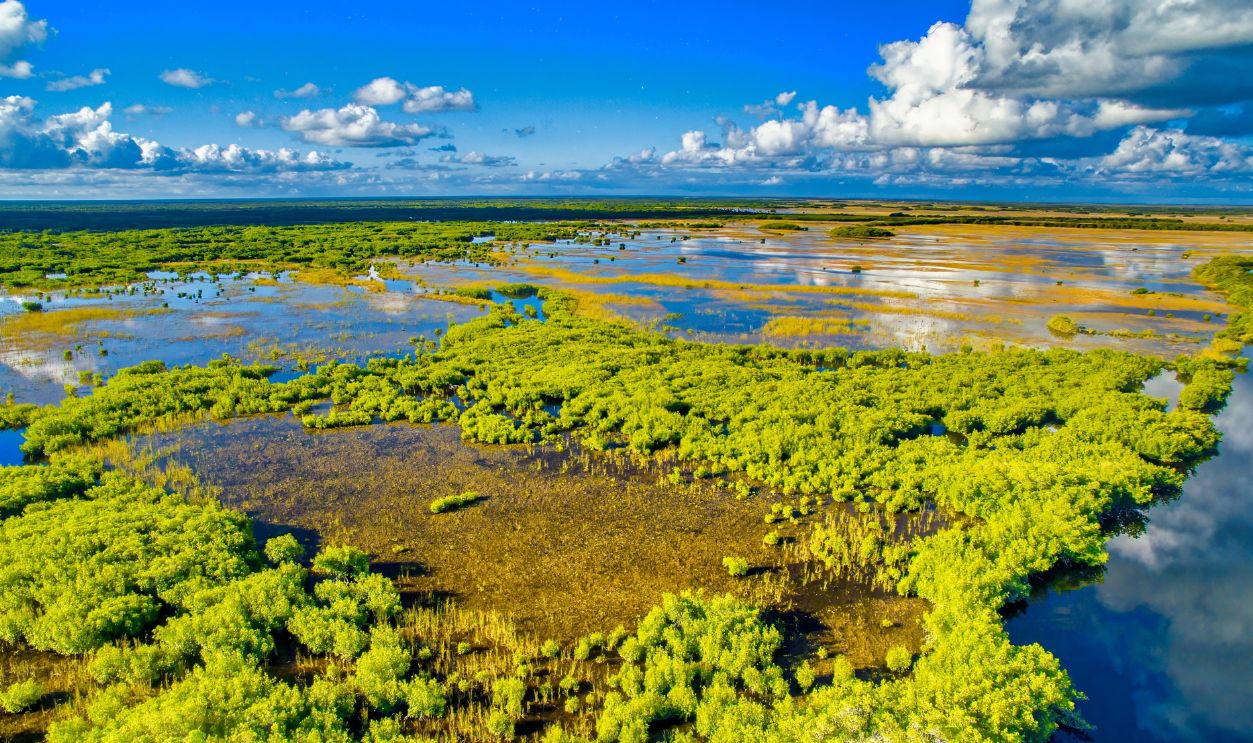 Everglades National Park