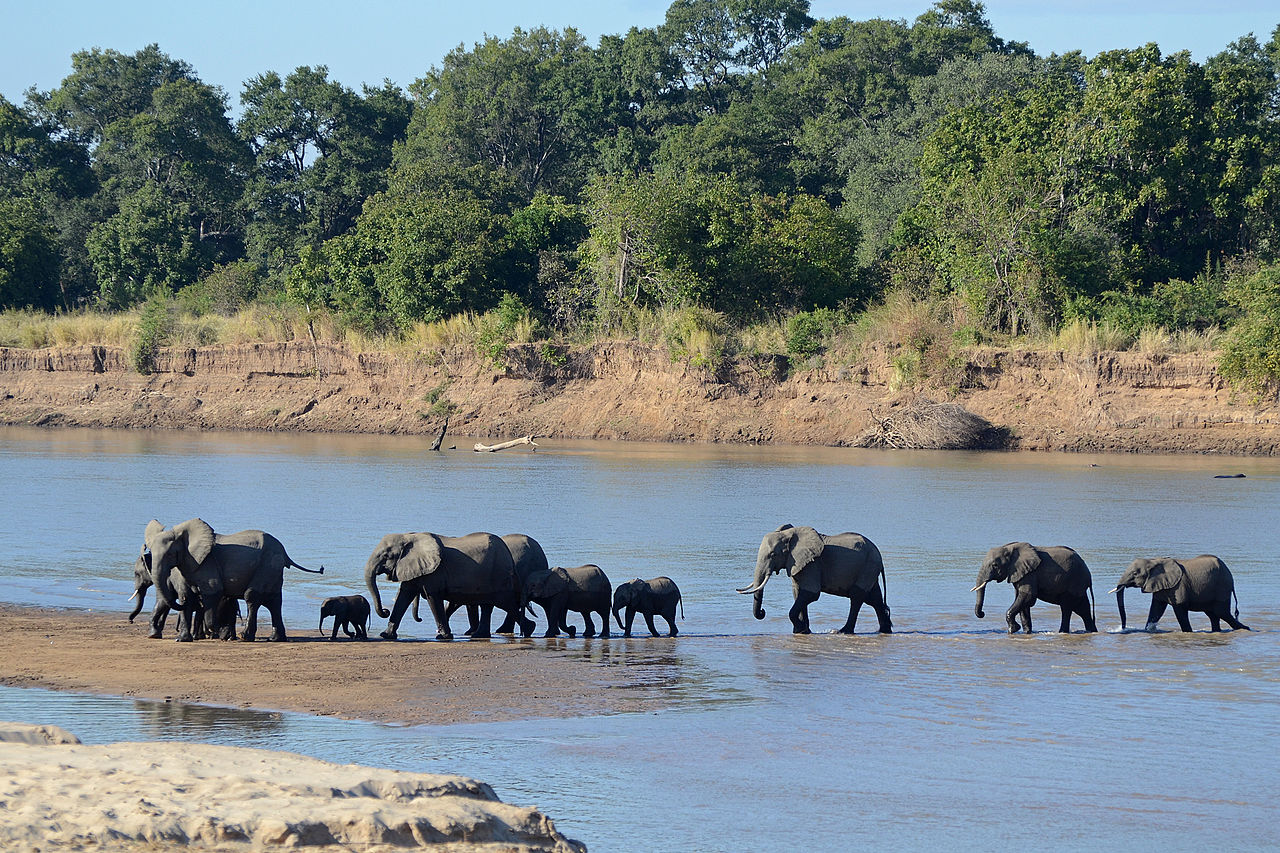 South Luangwa National Park in Zambia