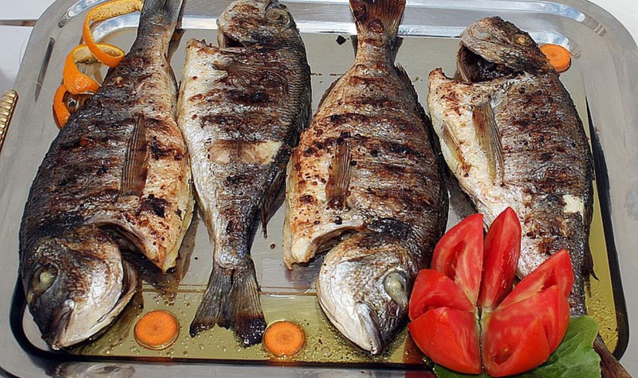 Grilled Fish