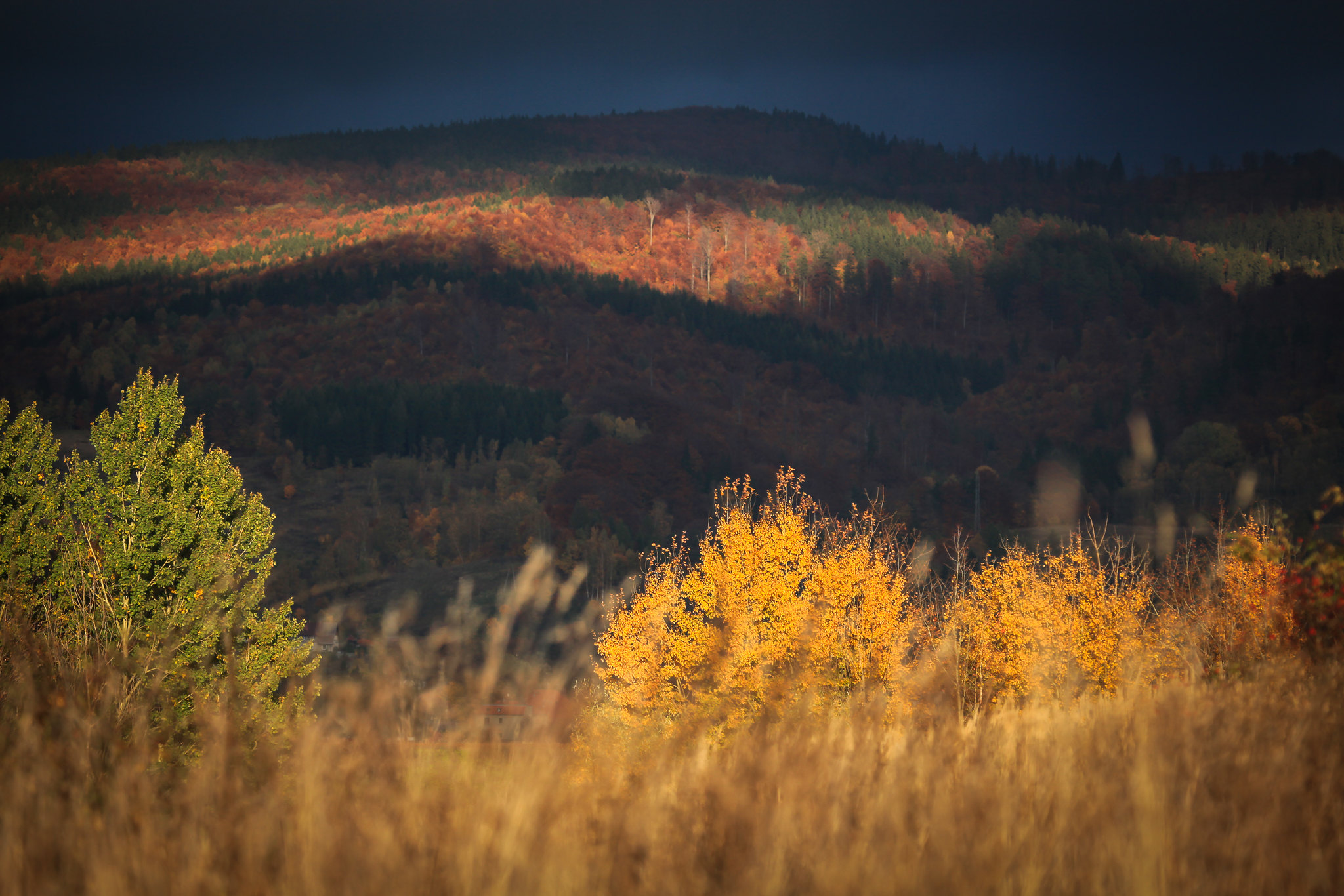 Owl Mountains in fall located in Poland