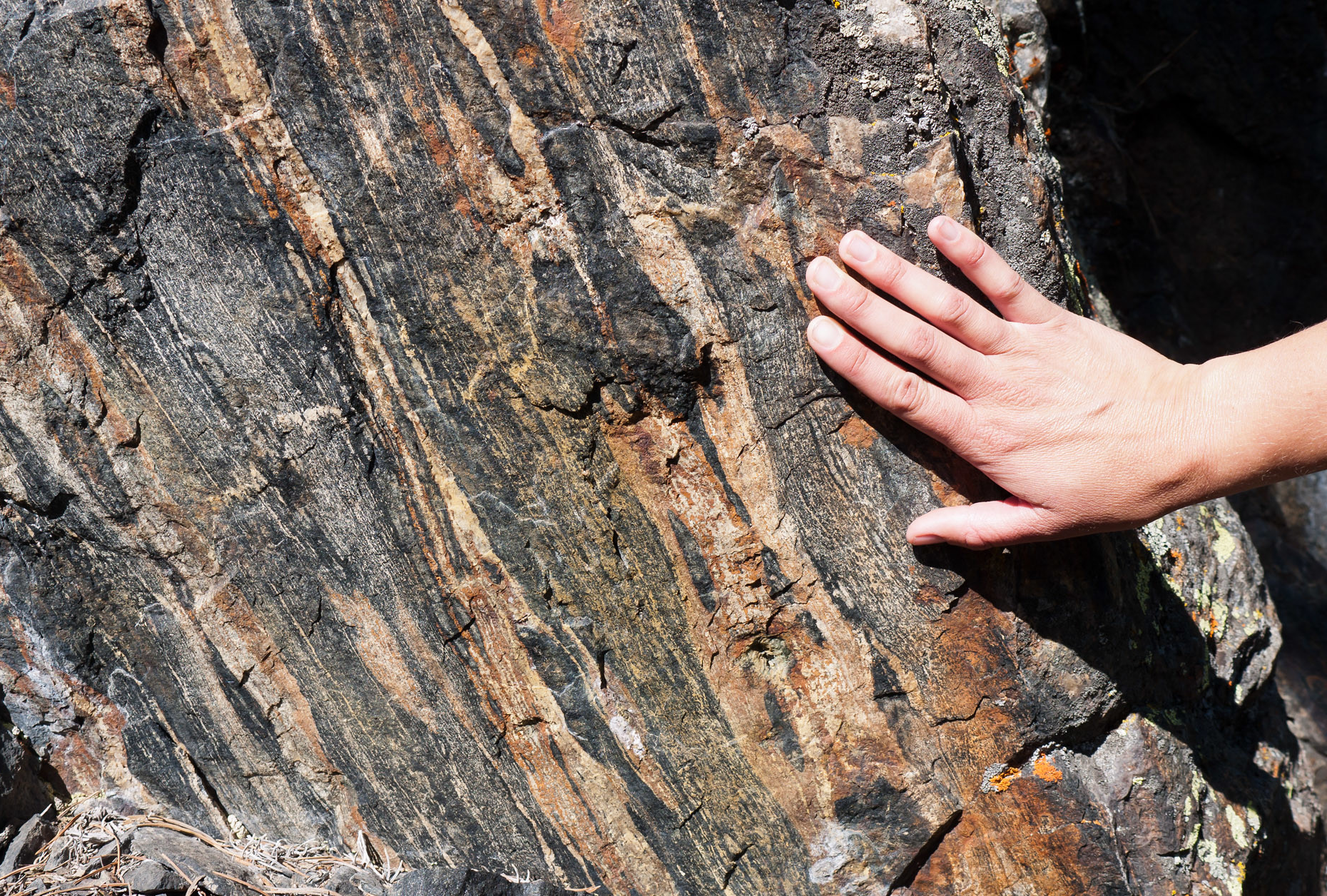 A hand on a Gneiss Rock