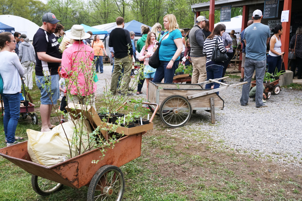 Chattanooga, people at festival