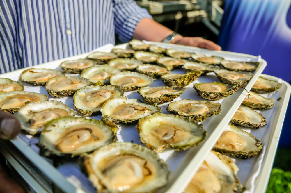 trays of 30 Galway oysters