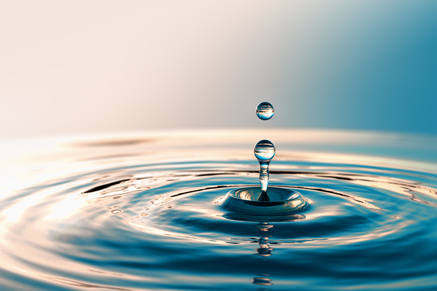 Clear Water drop with circular waves