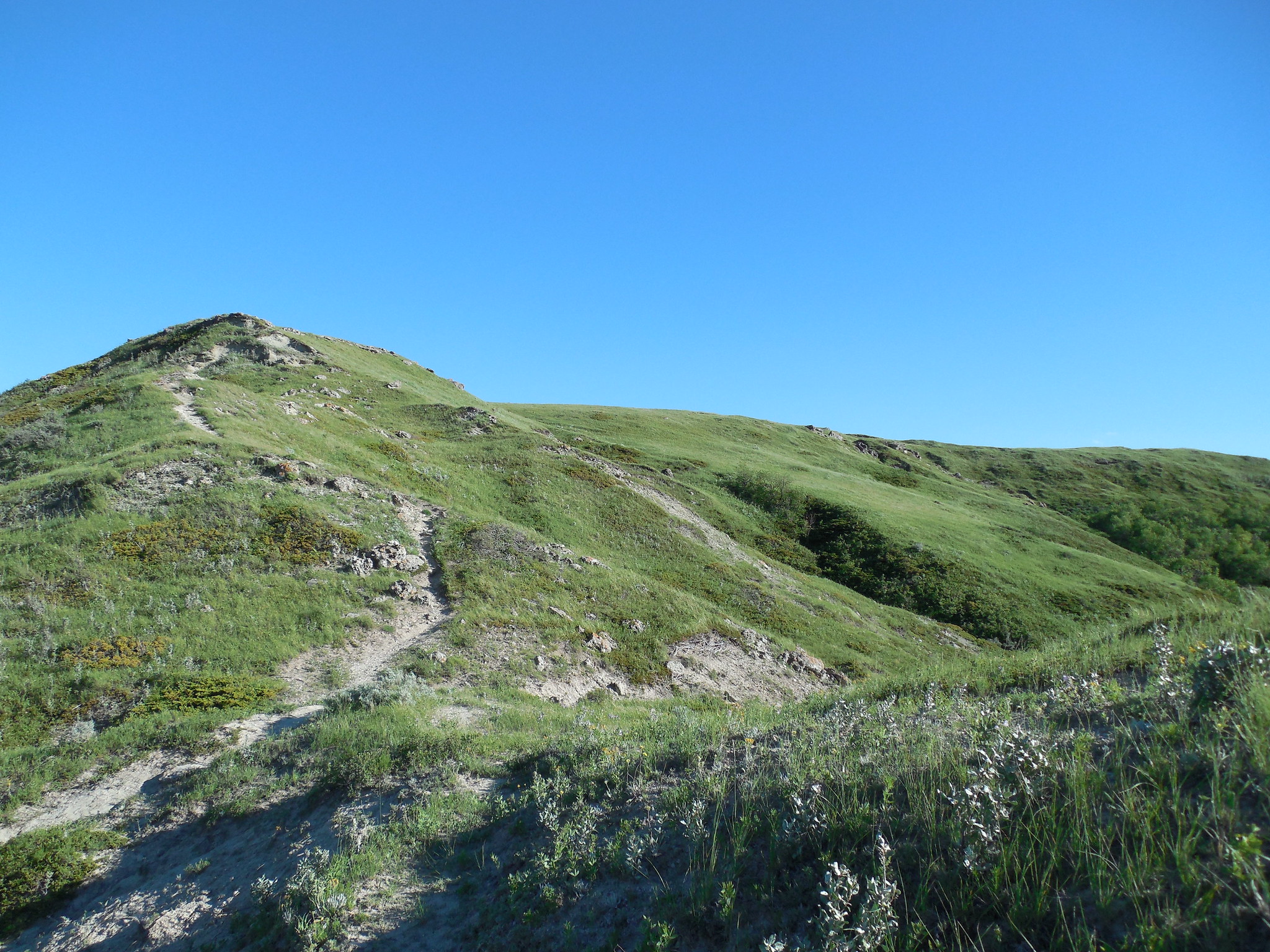 The Trail Down White Butte
