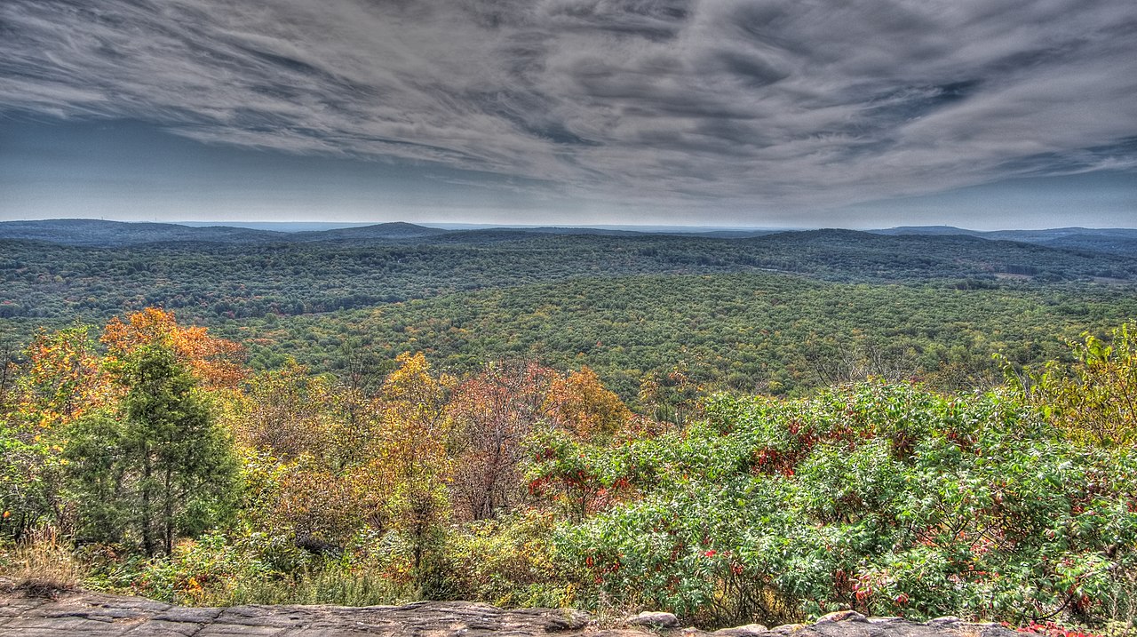 Rockaway Valley Hawkwatch