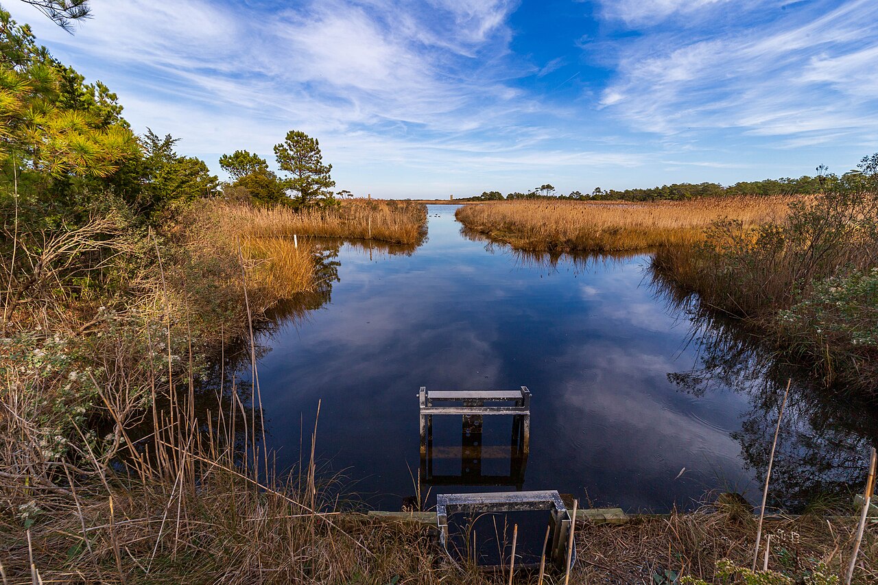 Gordons Pond Canal Gate - Cape Henlopen State Park
