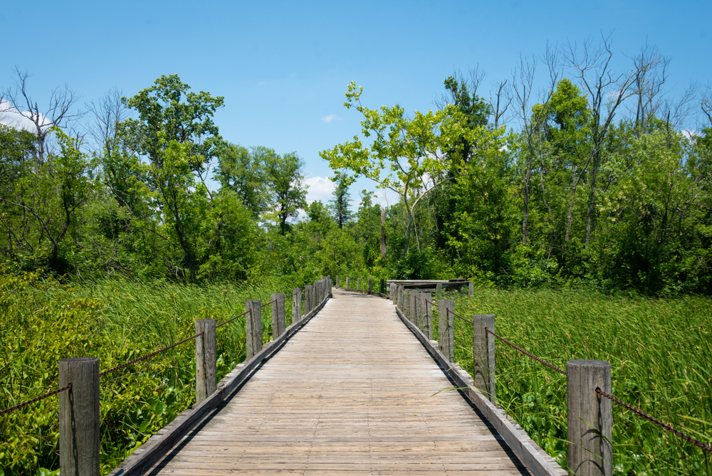 The Mount Vernon Trail, in Alexandria, Virginia