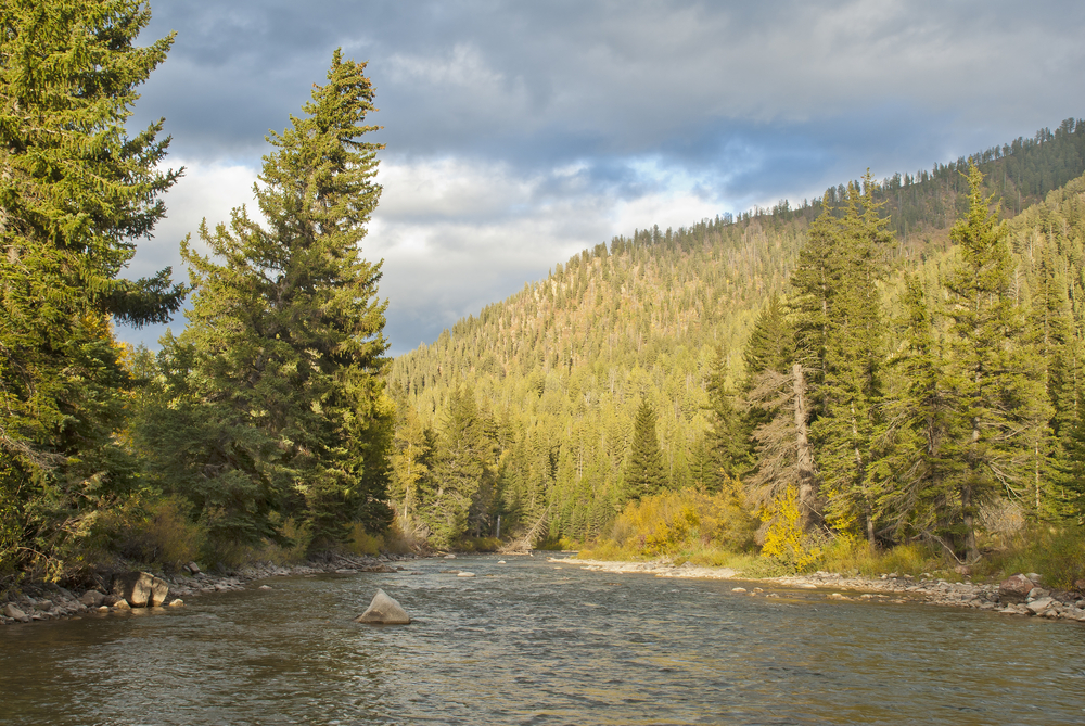 Hoback River near Hoback Junction, Wyoming.