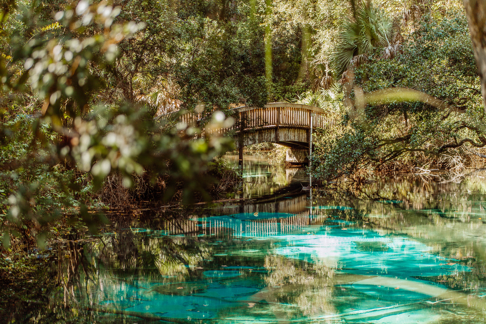 Juniper Springs hiking trail in a nature park in Florida