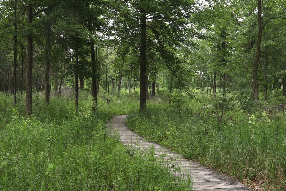 Trail at Secor Metropark, Toledo, Ohio