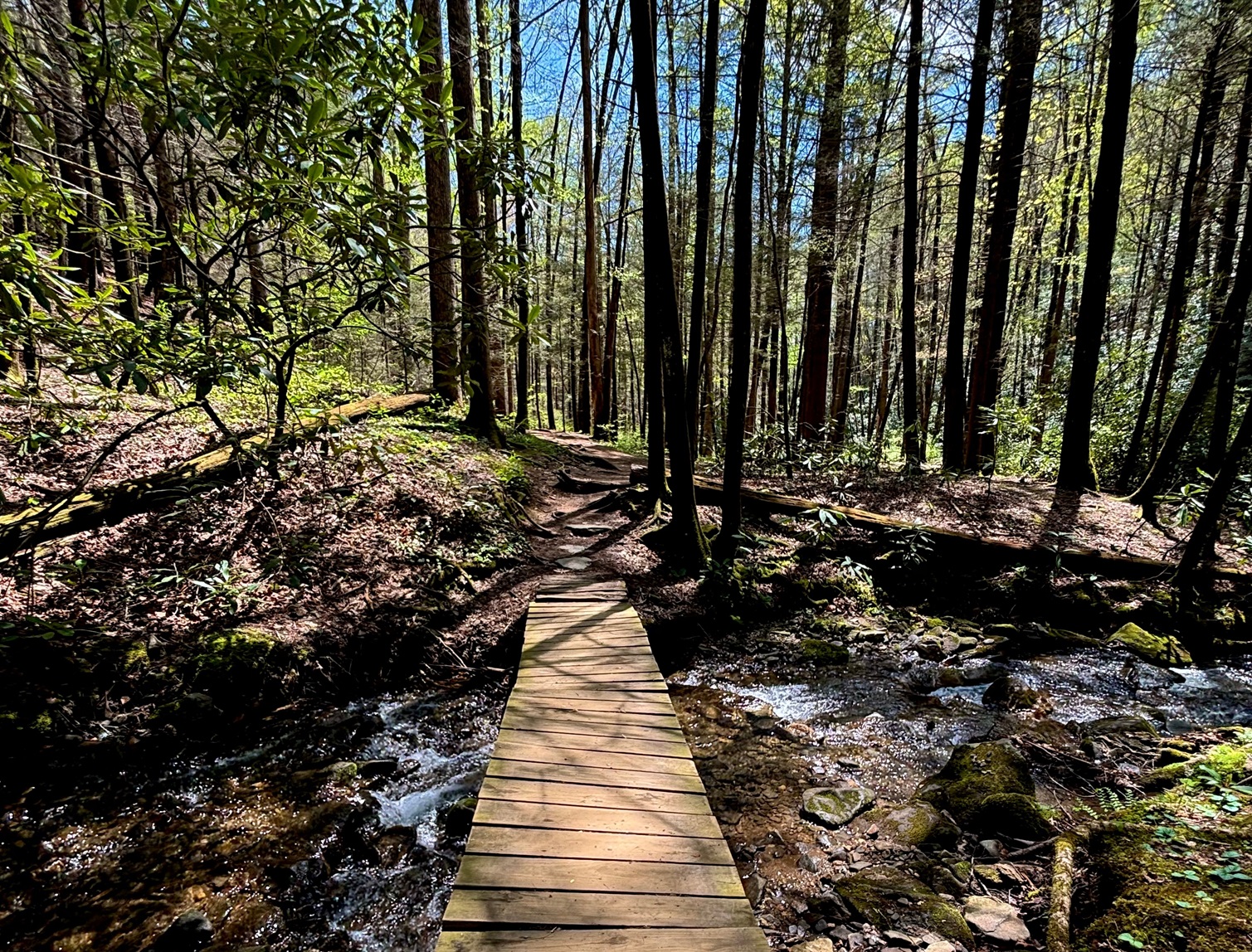 A weathered wooden plank bridge across a stream on the Raven Cliff Falls hiking trail path in the spring.