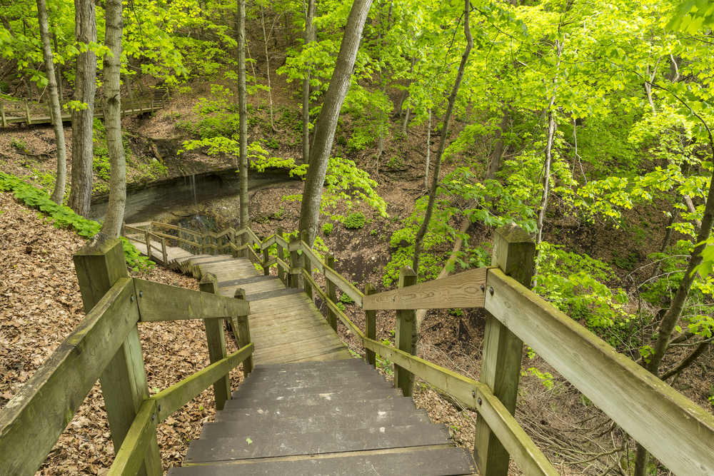 Boardwalk To Waterfall