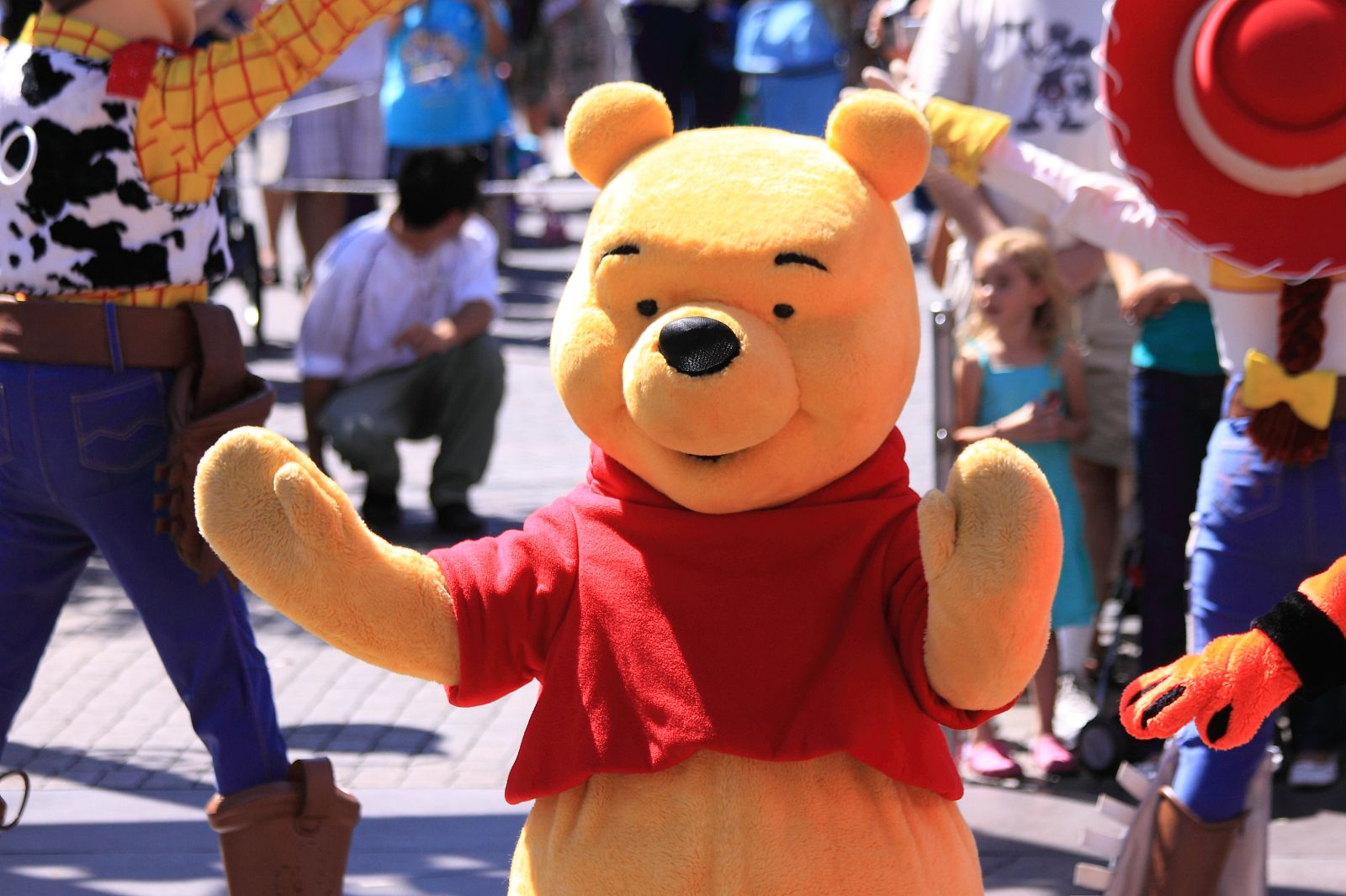 Winnie the Pooh Costume