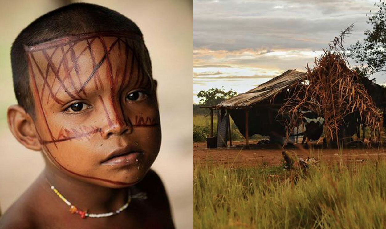 Nukak People Msn Split